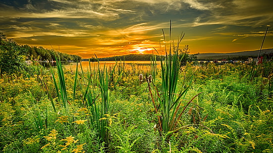 prairie, coucher de soleil, herbe, champ, coucher de soleil de l'été, fleurs sauvages, région des lacs, prairie, paysage, soir, Fond d'écran HD HD wallpaper