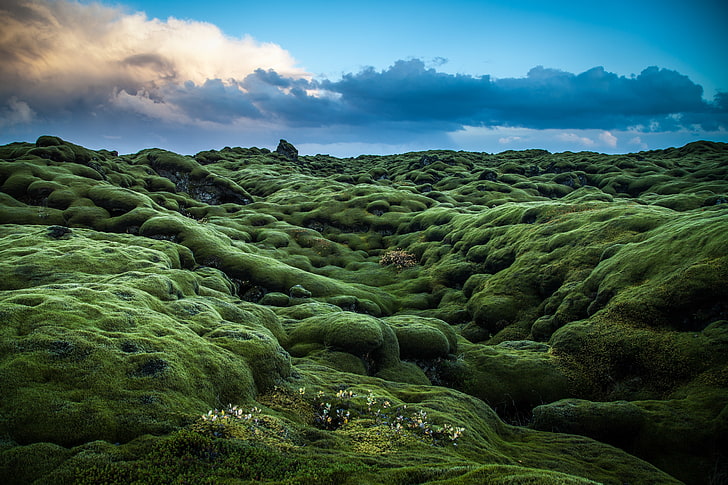 green mountain ranges, hills, moss, green, Ireland, photo, photographer, Andrés Nieto Porras, the plants, HD wallpaper