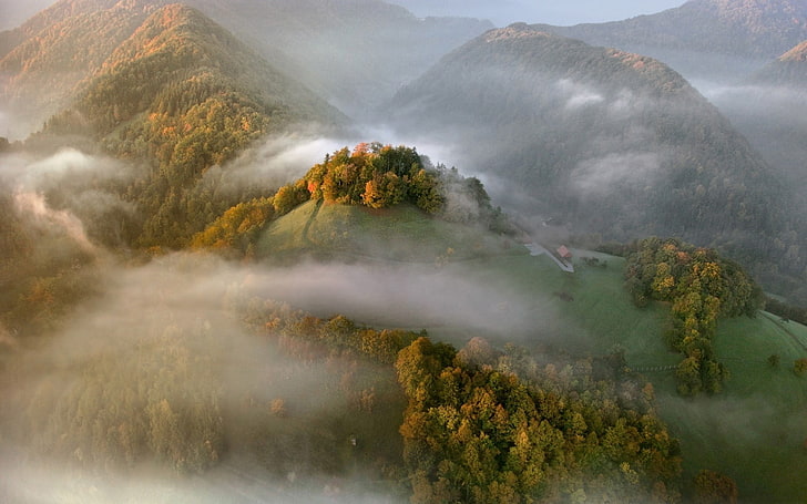 arbres à feuilles vertes, brouillard, paysage, nature, vue aérienne, montagnes, automne, forêt, champ, Fond d'écran HD