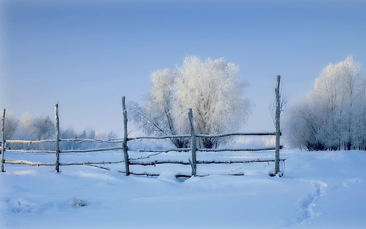 winter, field, snow, the fence, morning, HD wallpaper