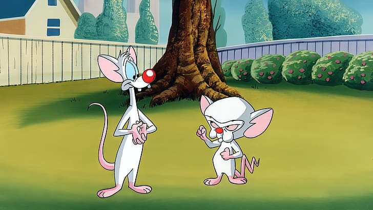 Pinky and the Brain, animation, animated series, cartoon, production cel, Warner Brothers, mouse (animal), trees, fence, house, bushes, lawns, HD wallpaper