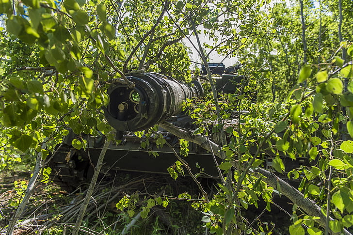 the barrel, tank, the bushes, combat, Leopard 2A6, HD wallpaper