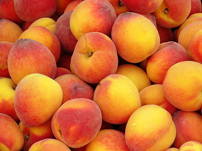куча персика, персики, фон, фрукты, спелые, HD обои HD wallpaper