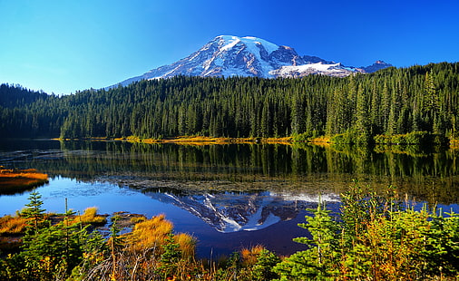 ฤดูใบไม้ร่วง, ป่า, น้ำ, ต้นไม้, ภูเขา, ทะเลสาบ, การสะท้อน, อุทยานแห่งชาติ Mount Rainier, ทะเลสาบสะท้อน, วอลล์เปเปอร์ HD HD wallpaper