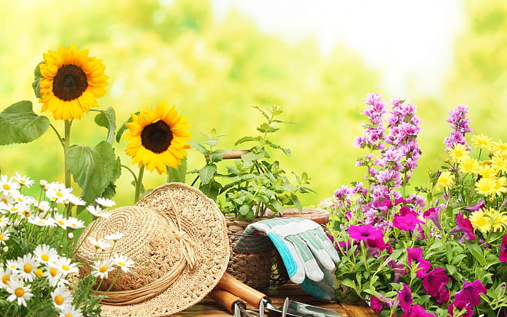 Love for Gardening, garden, tools, gorgeous, sunflower, hat, HD wallpaper