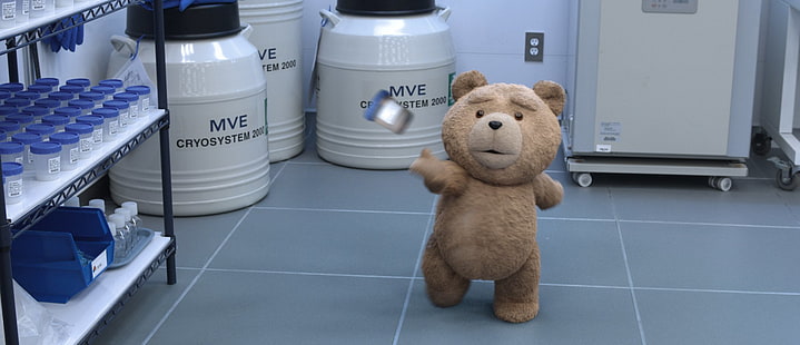 Film, Ted 2, Ted (Filmfigur), HD-Hintergrundbild HD wallpaper