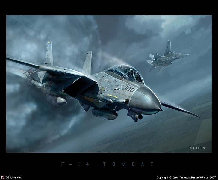 Jet Fighters, Grumman F-14 Tomcat, HD тапет