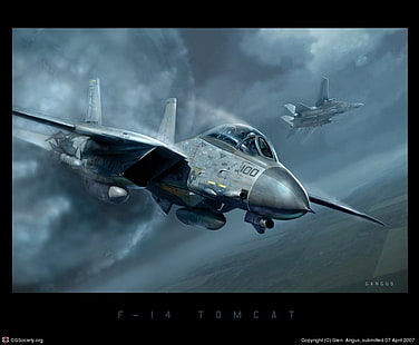 المقاتلات النفاثة ، Grumman F-14 Tomcat، خلفية HD HD wallpaper