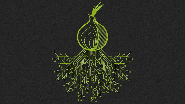 tor onion internet digital art, HD wallpaper