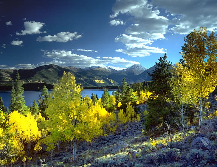 autumn, trees, landscape, mountains, nature, lake, Colorado, USA, Aspen, HD wallpaper