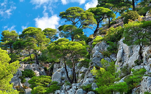 зелени дървета, природа, пейзаж, облаци, планини, дървета, скала, храсти, син, бял, зелен, лято, циан, слънчева светлина, HD тапет HD wallpaper