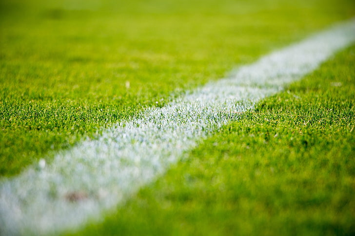 зеленая трава, трава, футбольное поле, HD обои