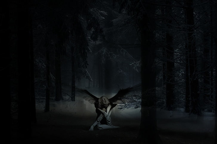 uomo in foto giacca nera, foresta, Sfondo HD