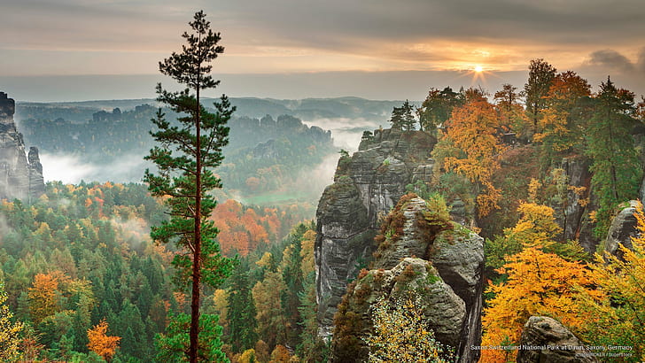 Park Narodowy Szwajcarii Saksońskiej o świcie, Saksonia, Niemcy, jesień, Tapety HD