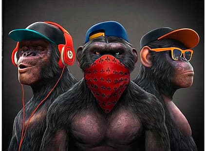 scimmia, ascolta, guarda e taci, Sfondo HD HD wallpaper