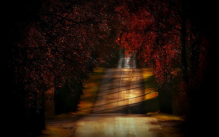 lukisan abstrak merah dan hitam, alam, lanskap, jalan, pohon, musim gugur, merah, daun, sinar matahari, Lithuania, Wallpaper HD