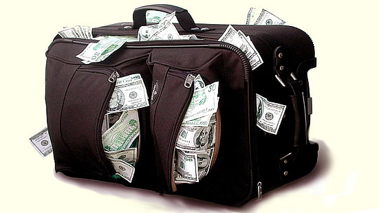 dinheiro, saco, dólar, dinheiro, riquezas, bagagem de mão, bagagem, sacos de dinheiro, bagagem, riqueza, finanças, HD papel de parede HD wallpaper