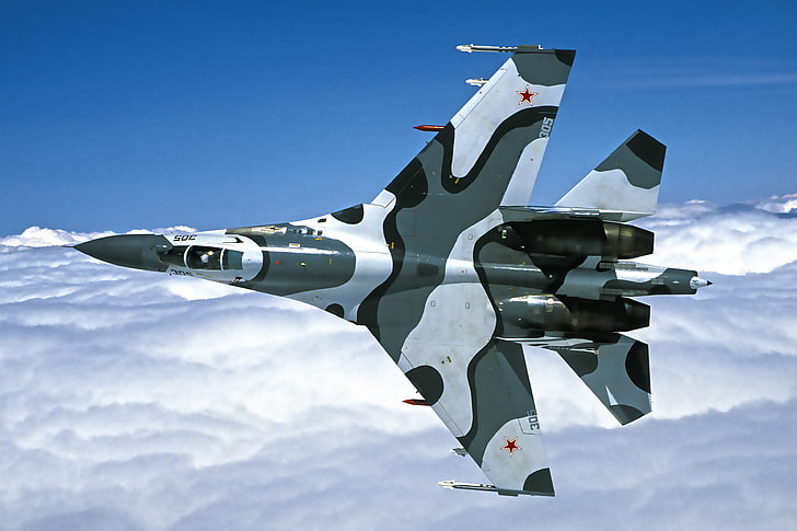 avion de chasse blanc et gris, le ciel, vol, ailes, chasseur, cabine, Su-27, Fond d'écran HD