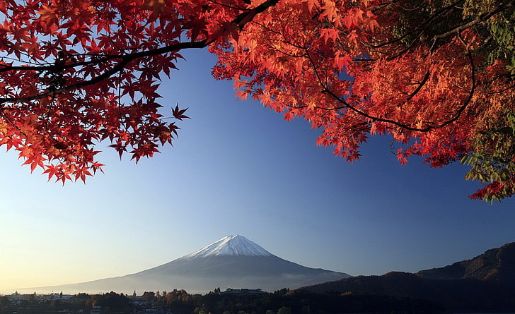 Есен, планина Фуджи, Япония HD тапет, планина Фуджи, Япония, Азия, Япония, пътуване, природа, есен, есен, японски клен, планина Фуджи, HD тапет