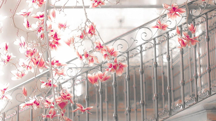 magnolia, stairs, fences, spring, HD wallpaper