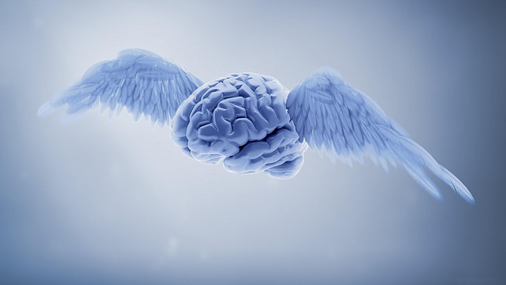 cerebro, alas, azul, fantasía, Fondo de pantalla HD