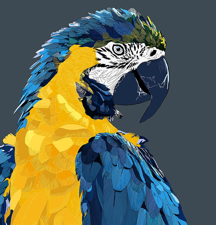wallpaper parrot biru dan kuning, parrot, macaw, art, bird, Wallpaper HD, wallpaper seluler