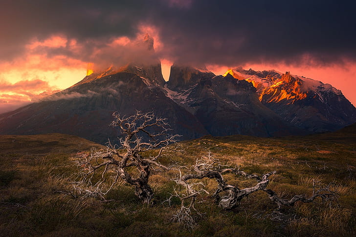 ภูเขา, พระอาทิตย์ตก, Torres del Paine, Patagonia, ชิลี, ต้นไม้ที่ตายแล้ว, เมฆ, หญ้า, ยอดเขาที่เต็มไปด้วยหิมะ, ธรรมชาติ, ภูมิทัศน์, วอลล์เปเปอร์ HD