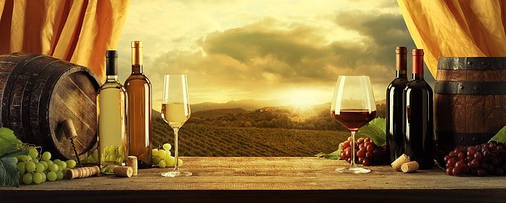 white and purple grapes beside wine display, wine, red, white, glasses, grapes, tube, barrels, corkscrew, HD wallpaper