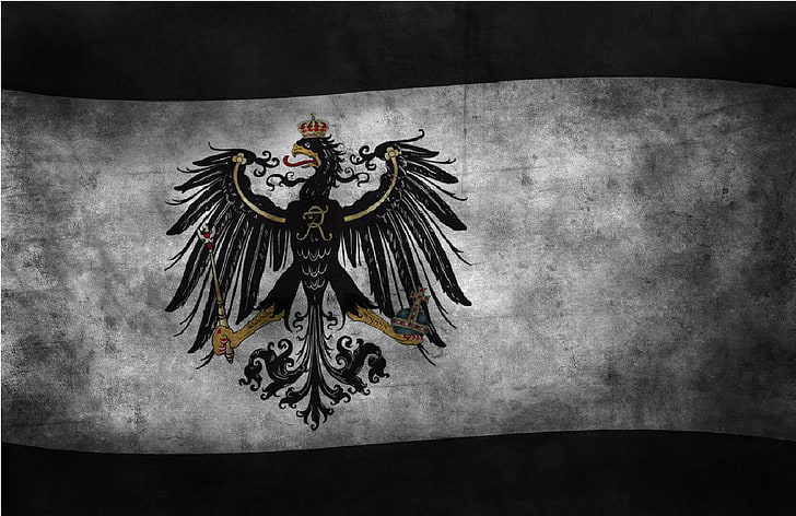 알바니아 로고, 깃발, 독수리, 깃발, 독일, 왕국, 제국, 브란덴부르크, 사람들, 프로이센, 부자, 애들러, HD 배경 화면
