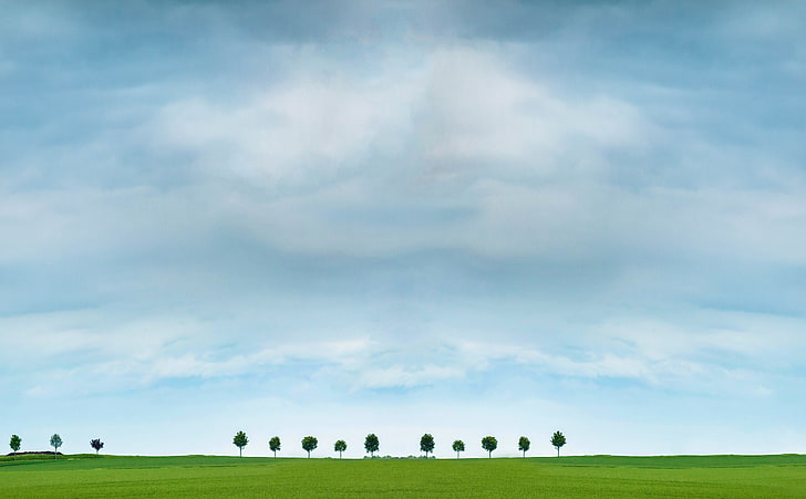 Grüne Bäume, grüne Bäume, Jahreszeiten, Frühling, Grün, Gras, Bäume, Baum, Minimalistisch, Wolken, Frankreich, Minimalismus, Champagner, Minimal, Landschaft, 135 mm, 135 mmf20, Epernay, Lothringen, HD-Hintergrundbild