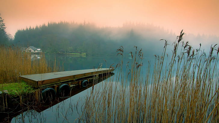Lake Pontoon Pier, reeds, pier, lake, mist, nature and landscapes, HD wallpaper