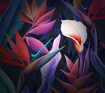 Цветы, Huawei Mate 10, листья, сток, разноцветные, HD обои HD wallpaper
