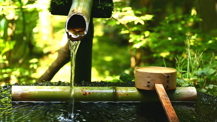 brown bamboo water fountain, plants, nature, HD wallpaper