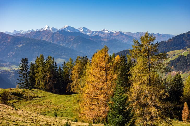 jesień, drzewa, góry, październik, Austria, Tapety HD