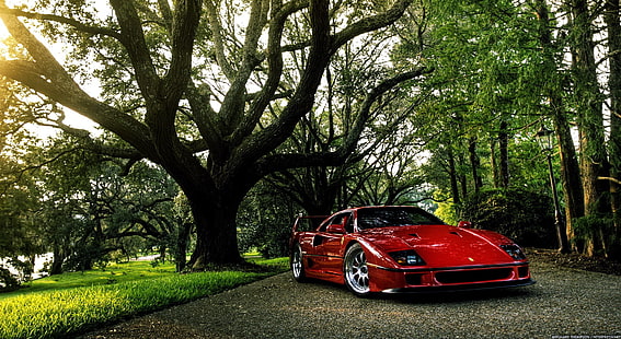 червено Ferrari F40, кола, Ferrari, Ferrari F40, Gran Turismo, HD тапет HD wallpaper