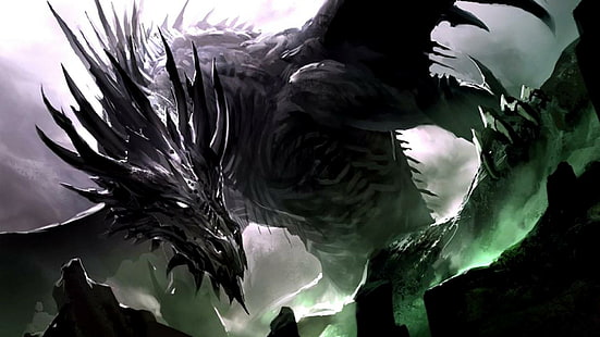 3d, Drache, Dragones, Feuer, Eis, HD-Hintergrundbild HD wallpaper