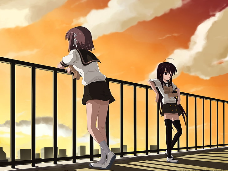 två bruna och svarthåriga kvinnliga anime karaktärer illustration, flickor, brunetter, solnedgång, bro, promenad, HD tapet
