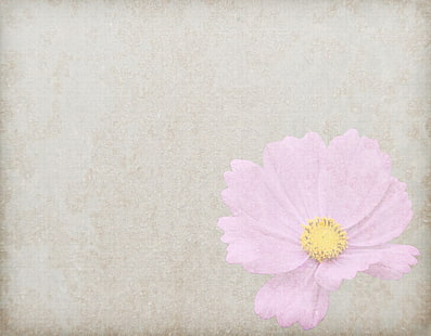 fondos de flores vintage para laptop, Fondo de pantalla HD HD wallpaper
