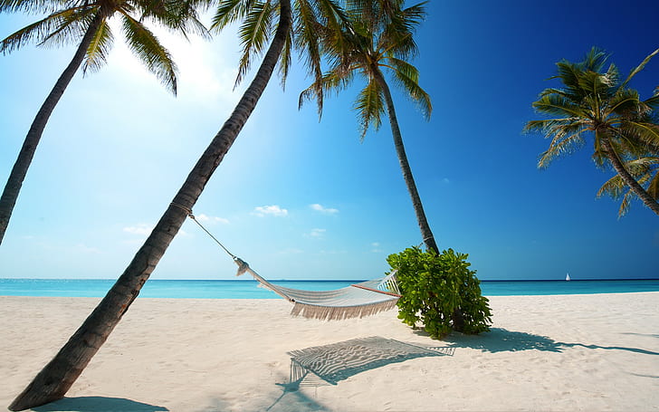 природа, пейзаж, гамаки, пляж, белый, песок, пальмы, море, синий, небо, Мальдивы, солнечный свет, тропический, лето, HD обои