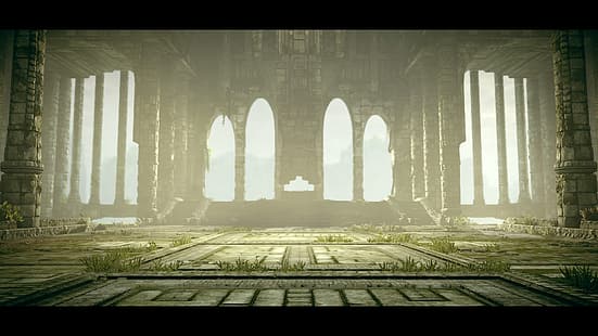 Shadow of the Colossus, videospel, ico, HD tapet HD wallpaper