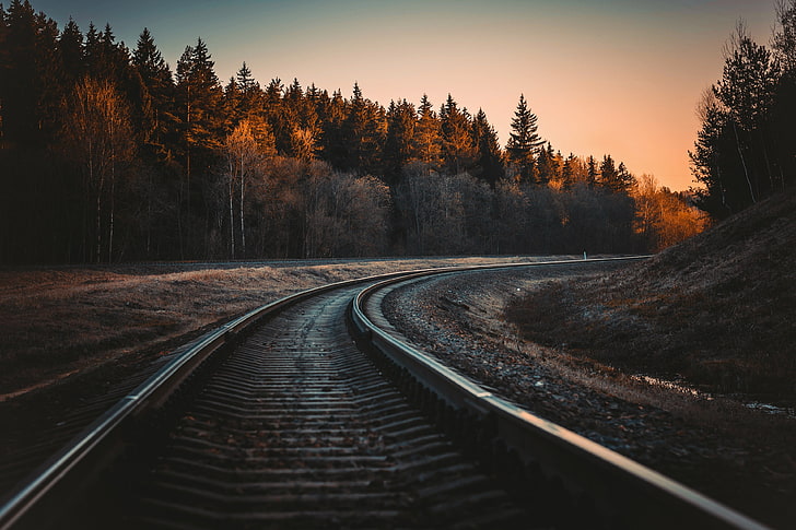 черни парапети на влакове, железопътна линия, железопътна линия, гора, природа, дървета, пейзаж, слънчева светлина, HD тапет