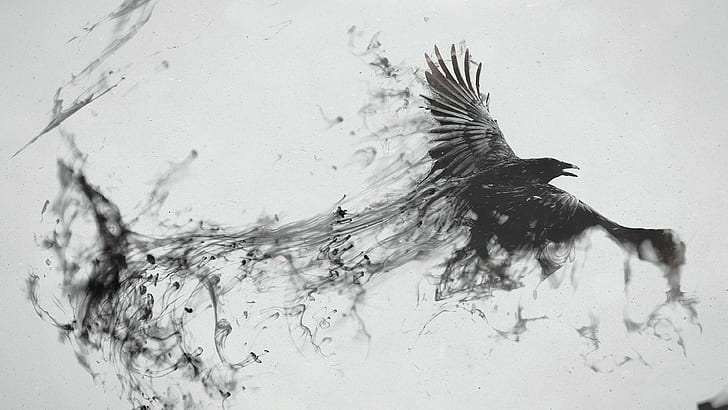 raven, fly, art, artwork, monochrome, black and white, bird, magic, illusion, digital art, minimalist, HD wallpaper