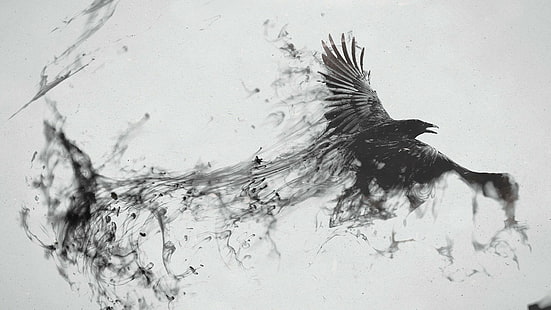 corvo, voar, arte, trabalho artístico, monocromático, preto e branco, pássaro, magia, ilusão, arte digital, minimalista, HD papel de parede HD wallpaper