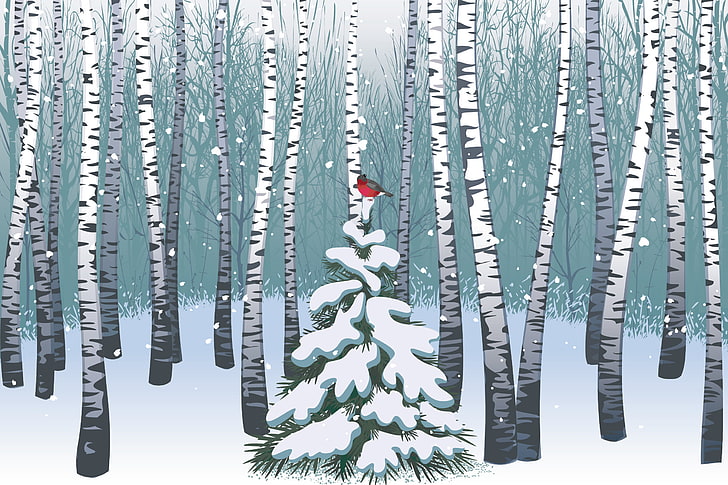 bird perching on pine tree wallpaper, Forest, Birds, Vector, Merry Christmas, HD wallpaper