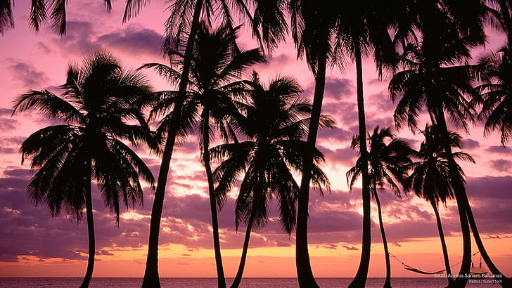 Södra Andros solnedgång, Bahamas, öar, HD tapet