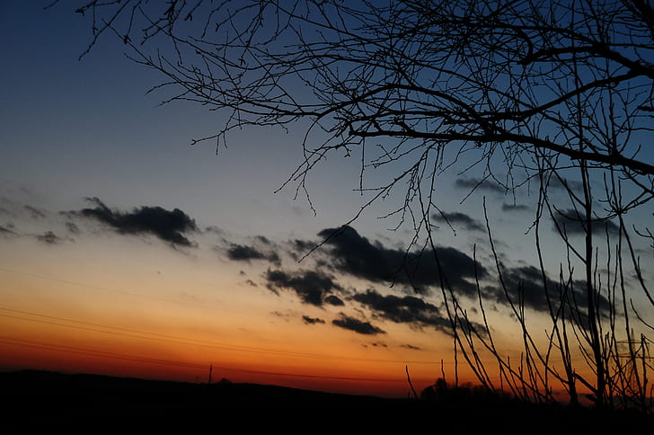tramonto, buio, alberi, cielo, Sfondo HD