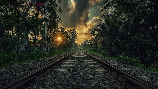 железнодорожный транспорт, облако, Азия, тропический, пальмы, пейзаж, закат, железная дорога, джунгли, вечер, трек, Шри-Ланка, атмосфера, дерево, экзотический, небо, лес, путь, природа, HD обои HD wallpaper