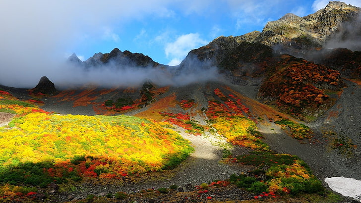 жълти листни цветя, пейзажна фотография на планина, природа, пейзаж, дървета, гора, есен, цветни, планини, хълмове, мъгла, облаци, слънчева светлина, сняг, скала, камъни, HD тапет