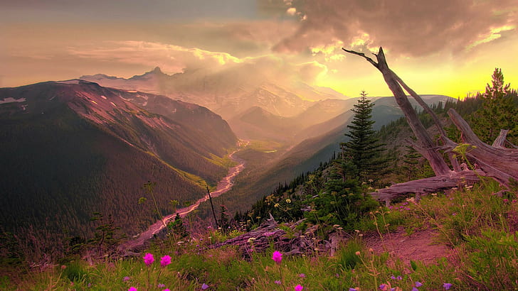Beautiful, valley, wildflowers, pink, 1920x1080, HD wallpaper