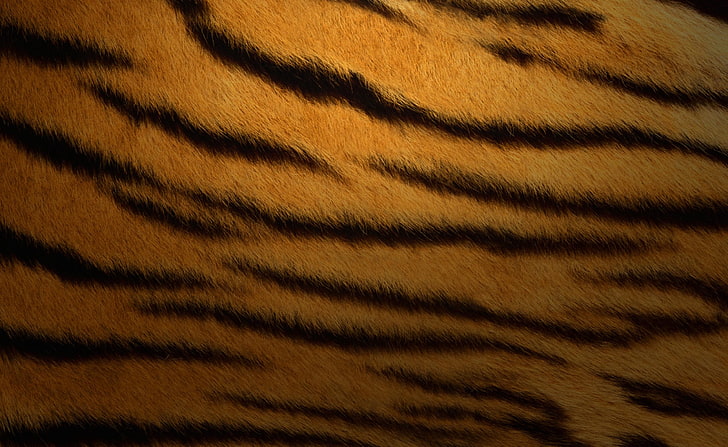 Tiger Fur Background, brown and black tiger skin print cloth, Animals, Wild, Background, Tiger, HD wallpaper